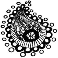paisley pattern art design retro