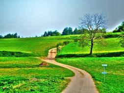 landscape nature background meadows