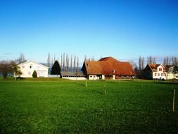 agriculture farm meadow