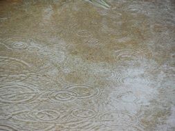 water rain wet drop weather