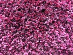 carpet texture fibers textile