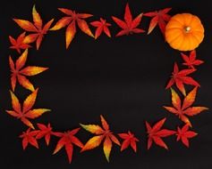 pumpkin and autumn leaves on a black background