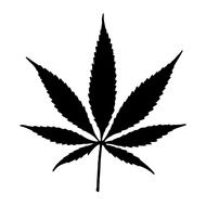 cannabis pot leaf plant