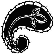 art design of paisley pattern