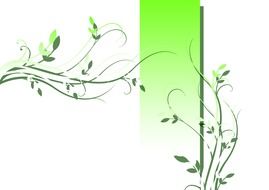 white background with decorative green leaves