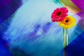 artwork colorful art flowers vase