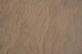 sand beach wind nature ocean