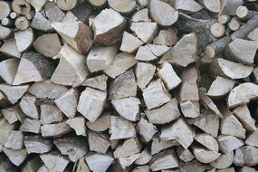 fuel tree firewood texture nature