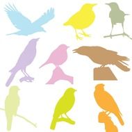 bird birds silhouette silhouettes