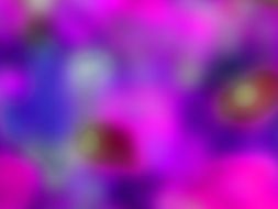 pink and purple blurred background