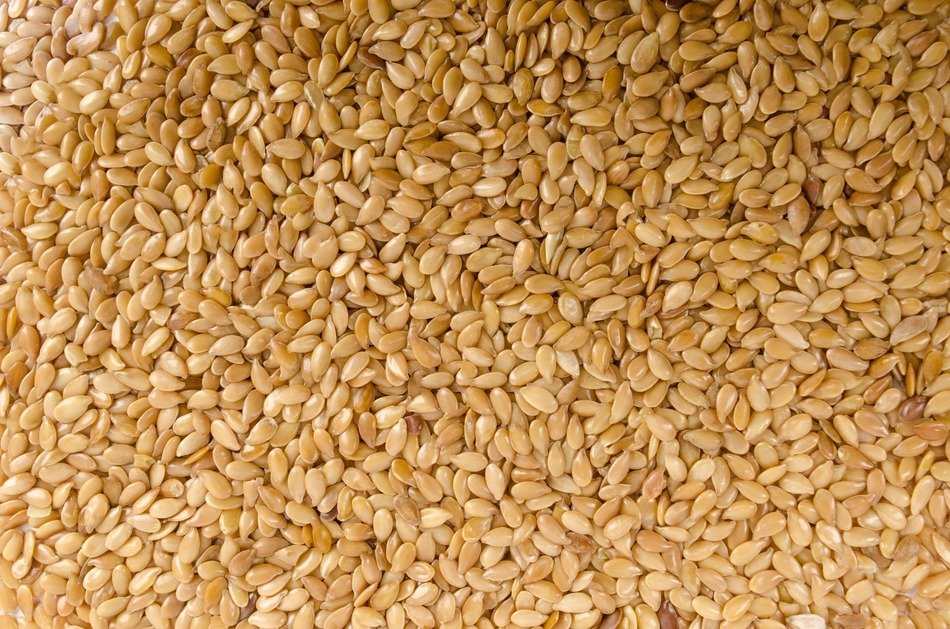 close up grain nobody natural