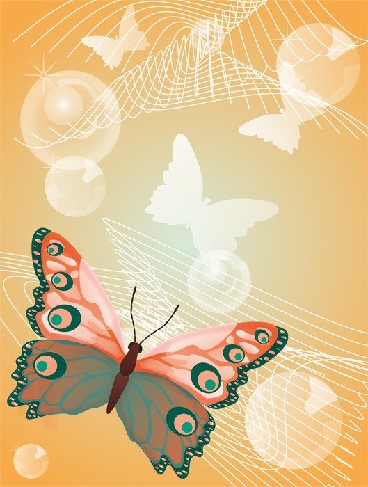 butterfly insect orange background