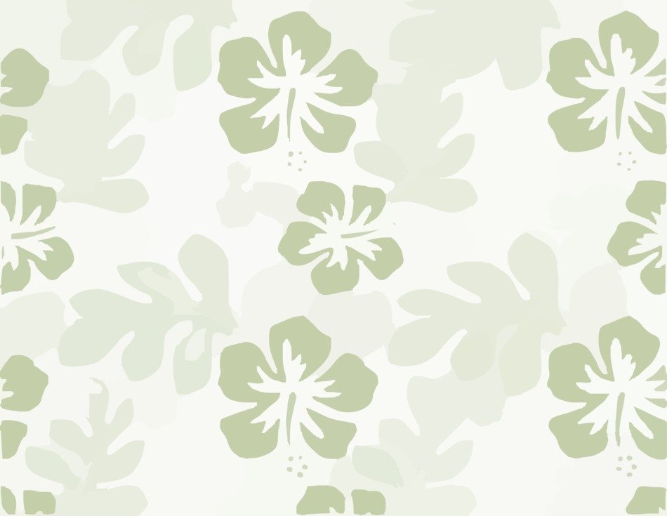 hibiscus green pattern plant