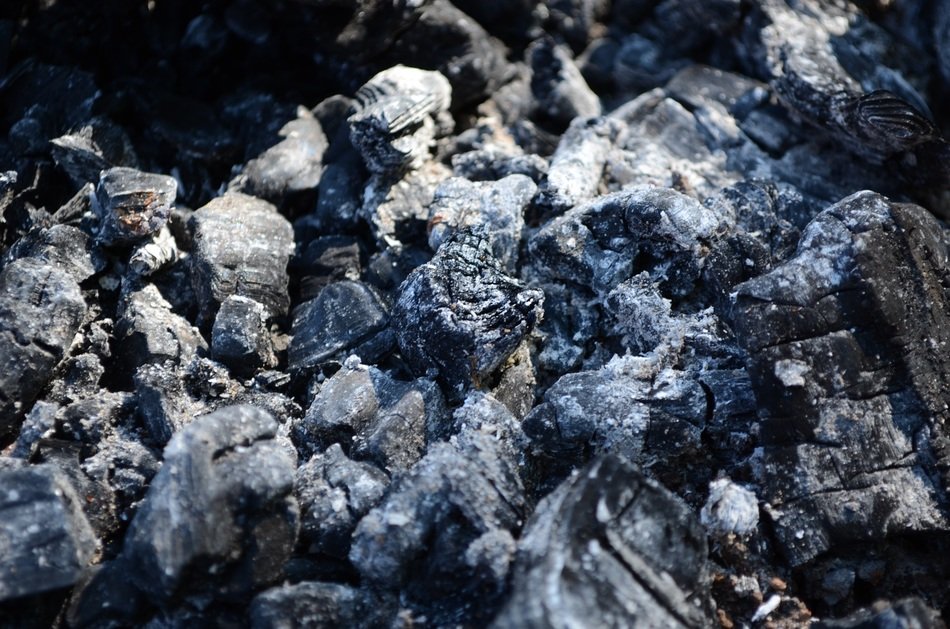 the ashes coals carbonized