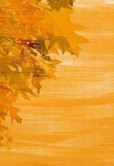 autumn colorful emerge