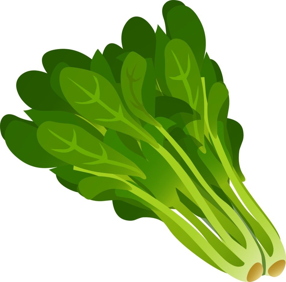 green leafy vegetables leaves