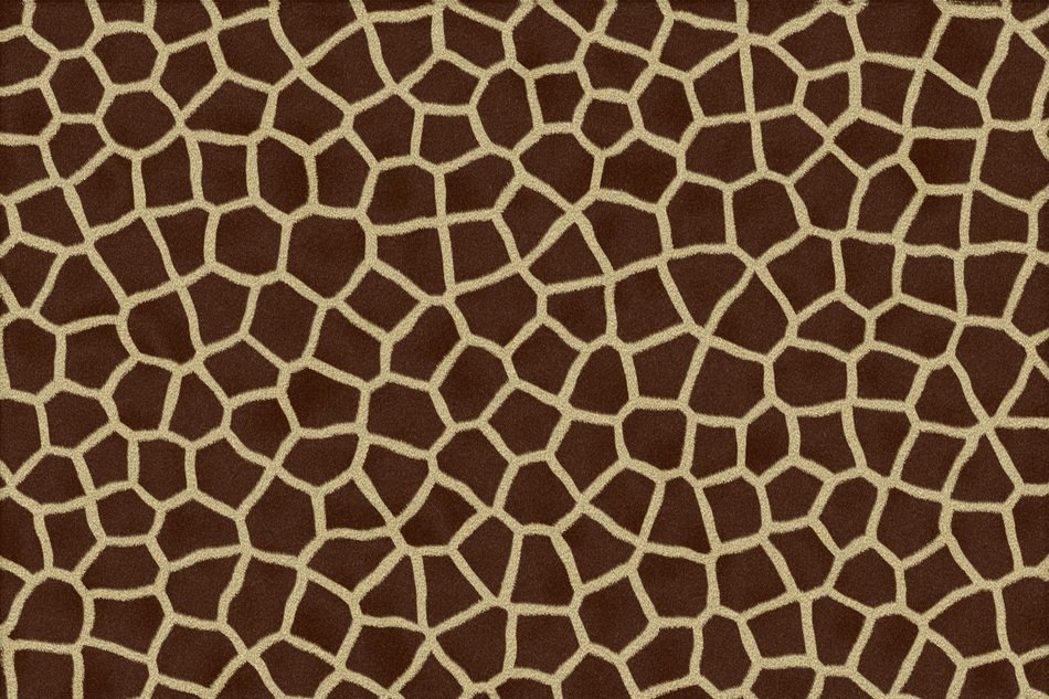 giraffe animal print skin fur