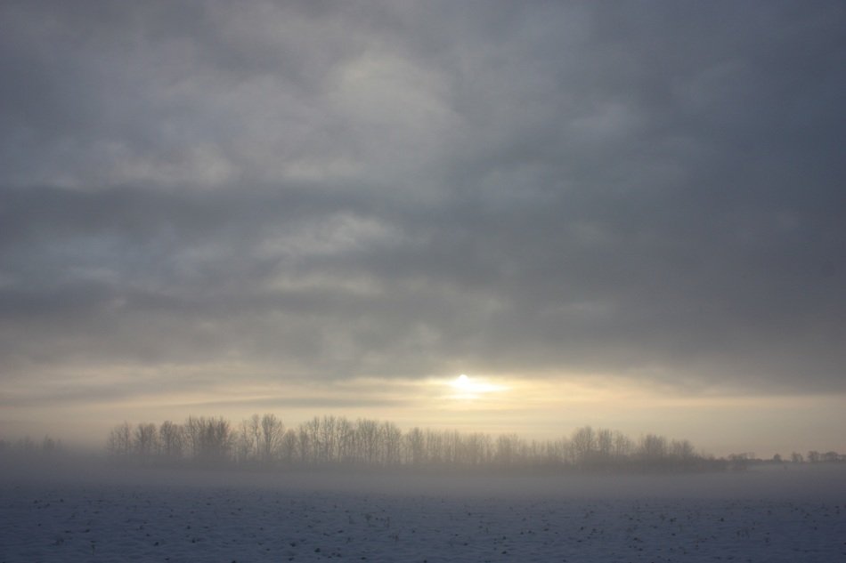 winter snow nature background