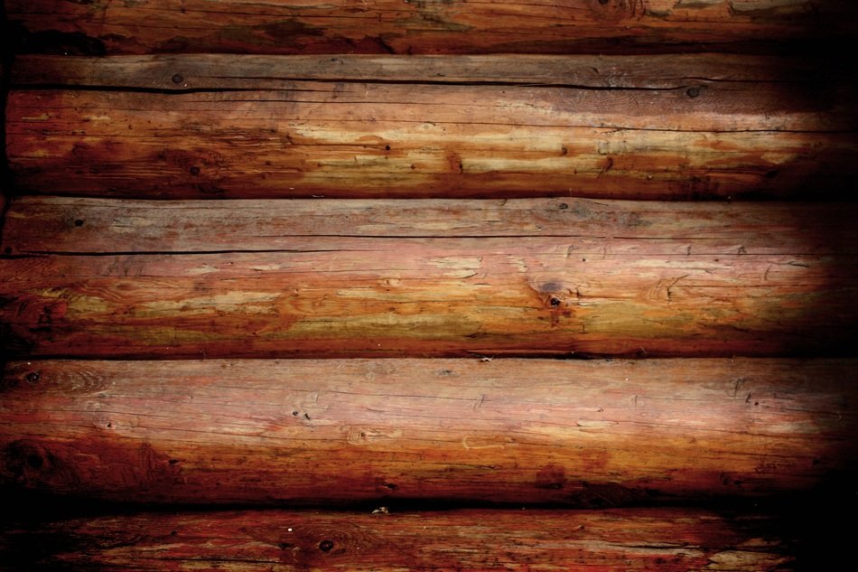 wood background rustico trunks