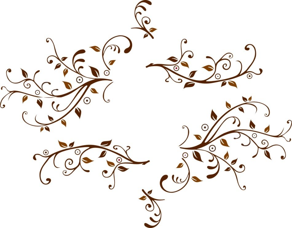 leaves vines floral swirl element