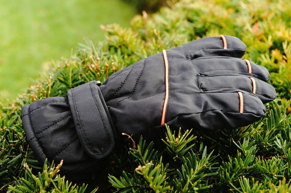 glove hedge winter lost forget