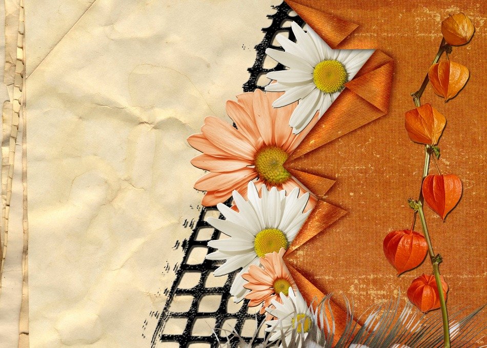 flowers greeting card structure