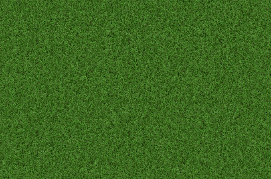 rush grass texture background