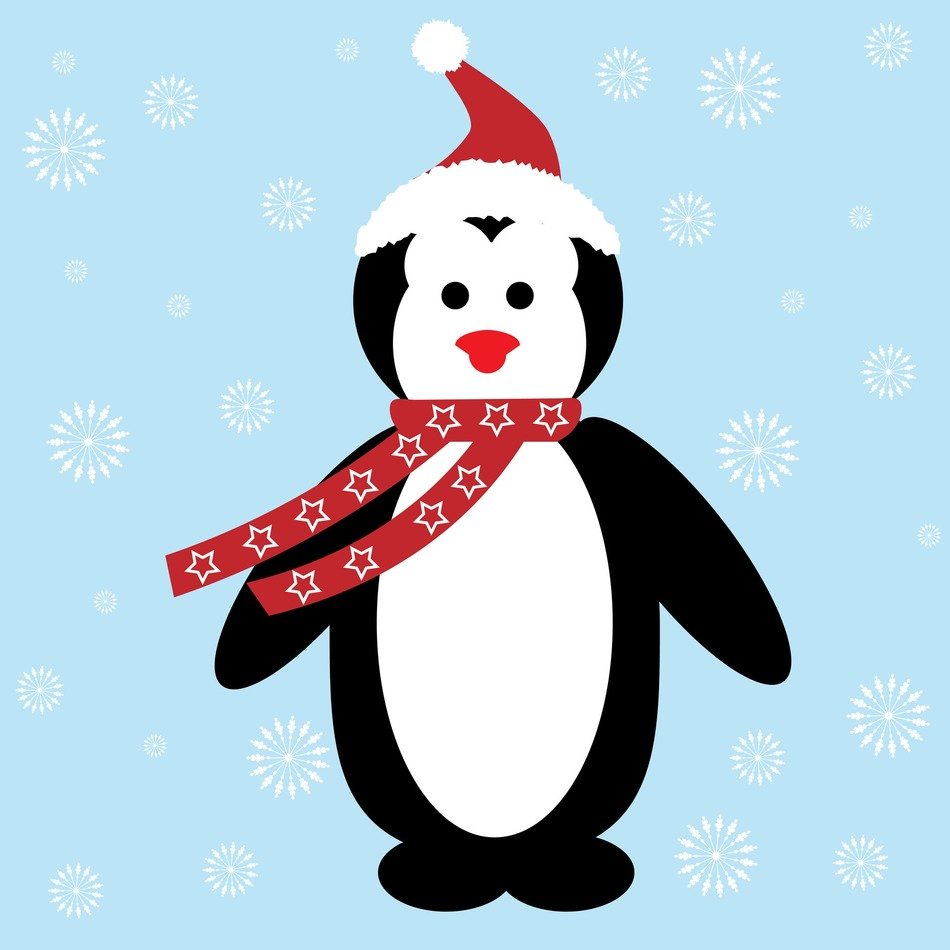 christmas penguin santa hat
