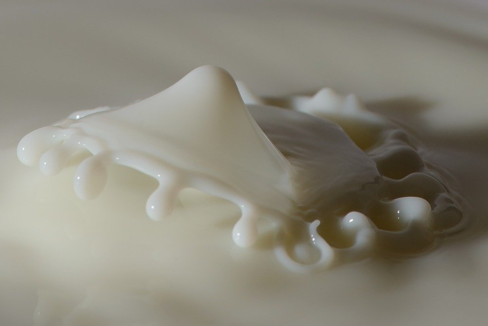 milk white liquids dairy drinks
