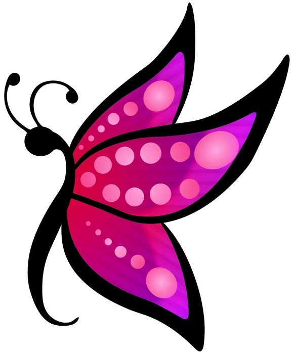butterfly gradient colorful white
