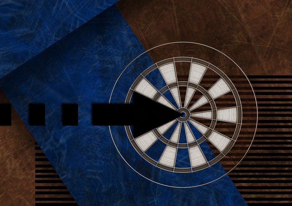 dart board disc zie play