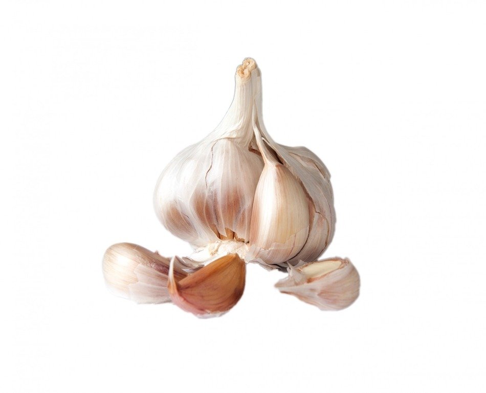garlic bulb clove cloves skin