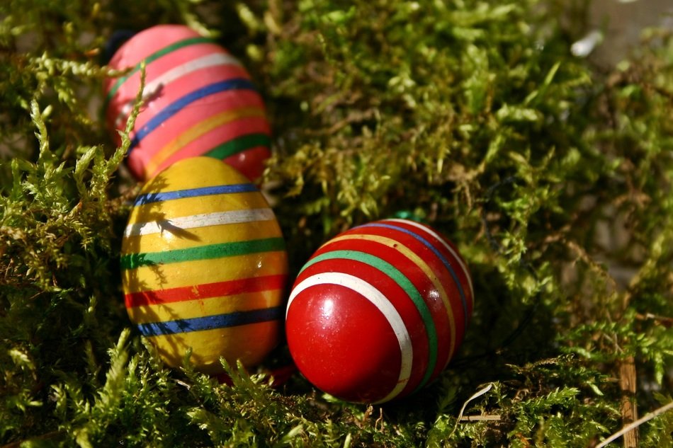 easter eggs egg colorful