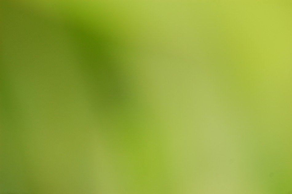 green blur background blurred