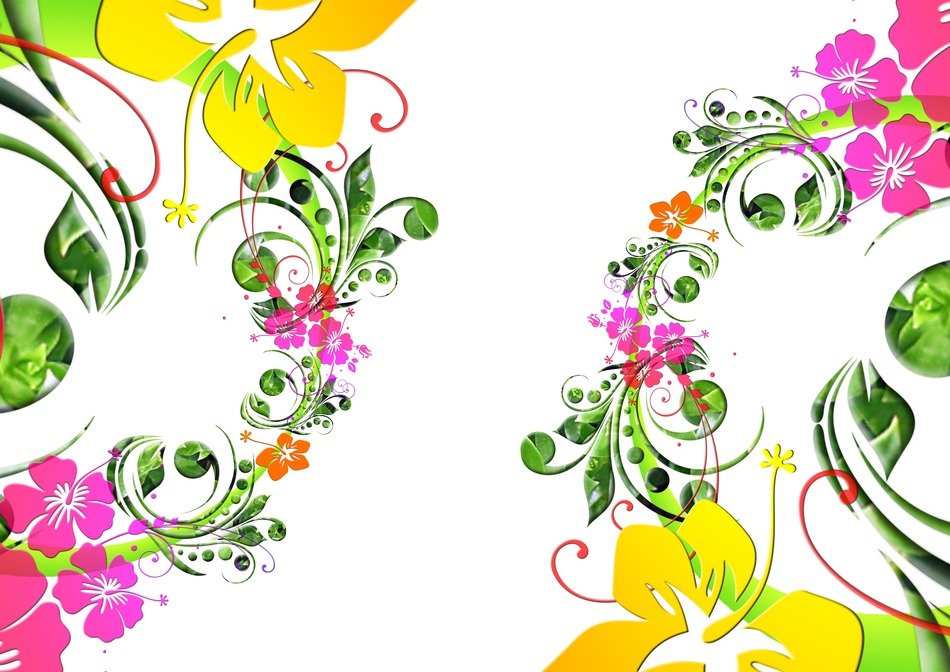Ornament from summer flowers on a white background