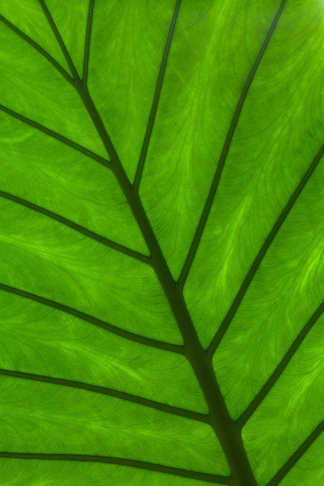 abstract backdrop background bright