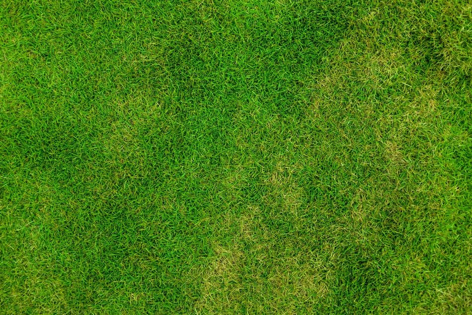 abstract backdrop background field