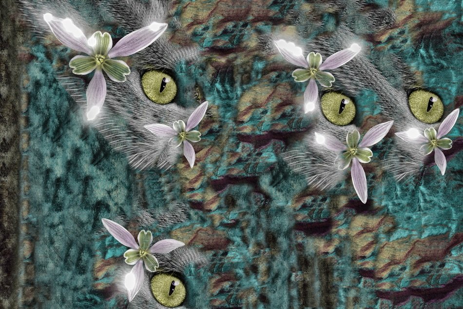 abstract image of flowers and cat's eye