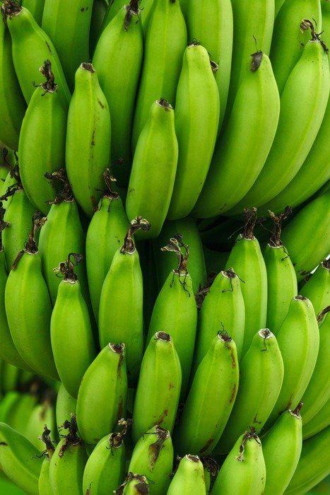 tropical group nature food pattern
