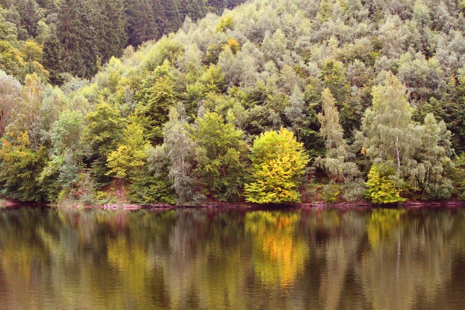 landscape of autumn forest and lake