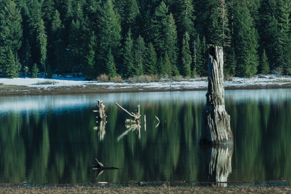 reflection water tranquil surface