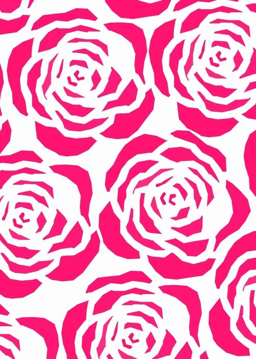 hot pink bright floral flower