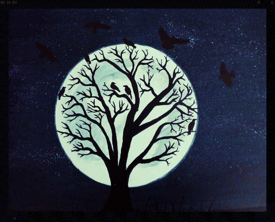 moon raven tree black night dark