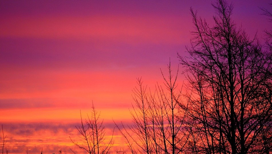 sunrise tree trees sky clouds