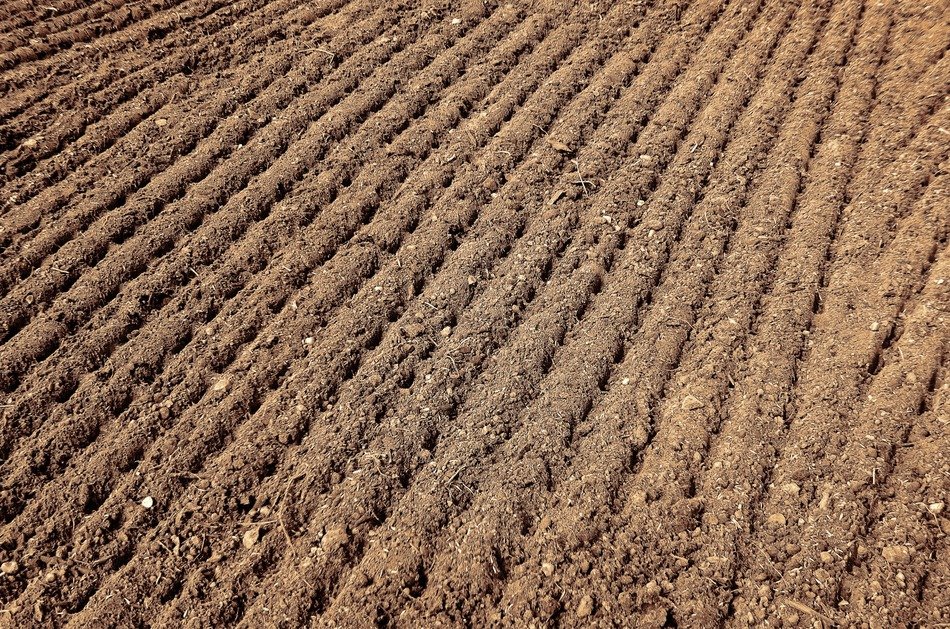 field background agriculture season