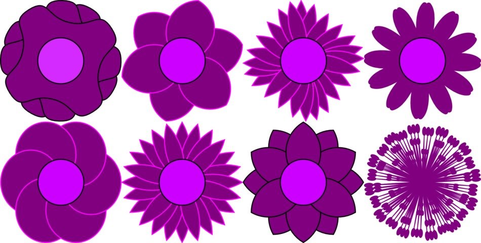 pattern flower floral bloom violet