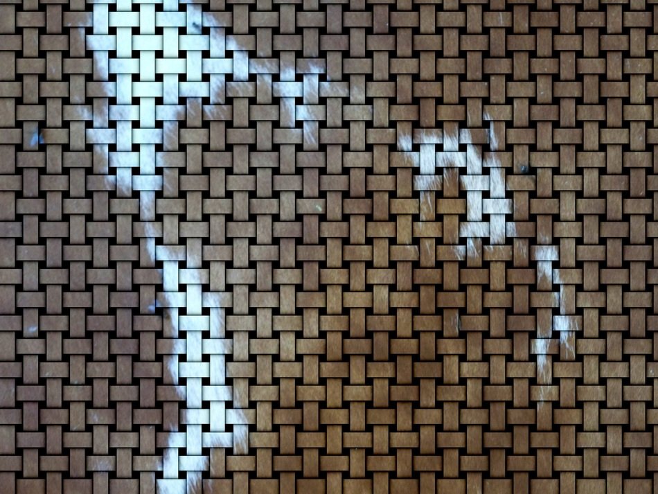 fabric brown and white pattern