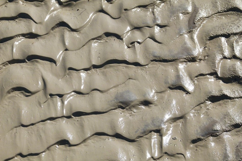 muddy sand waving structure