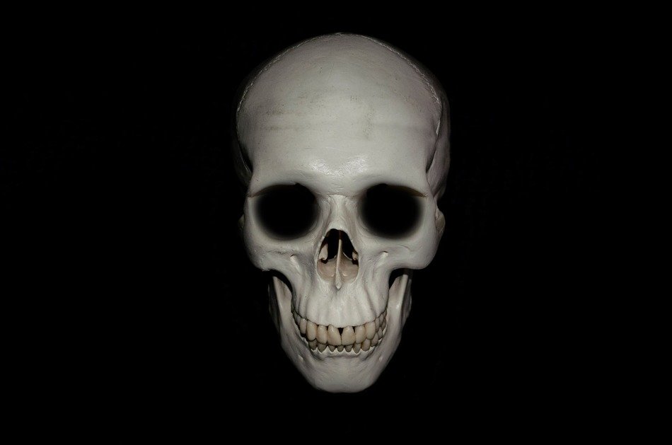 anatomy background body bone brain