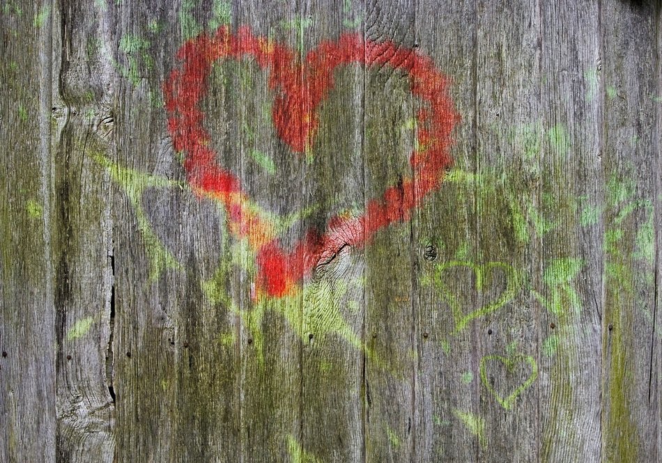 wood heart structure texture red